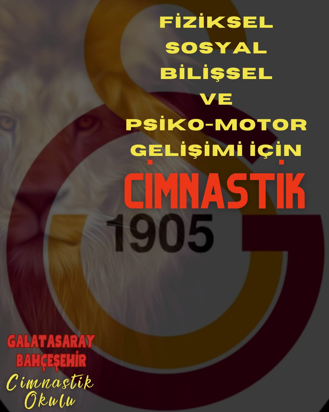 Galatasaray Cimnastik Bahçeşehir Spor Okulu