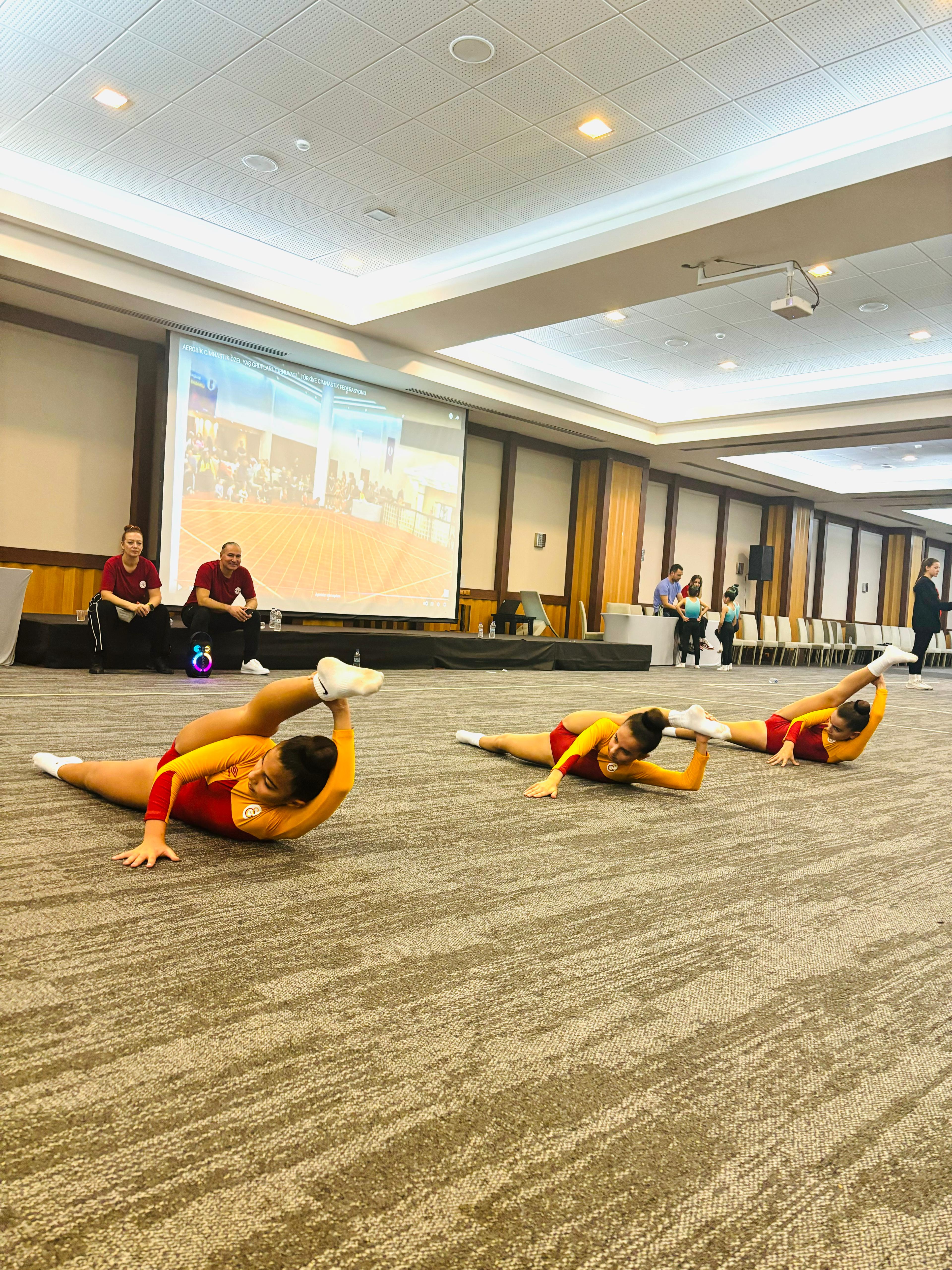 Galatasaray Cimnastik Bahçeşehir Spor Okulu